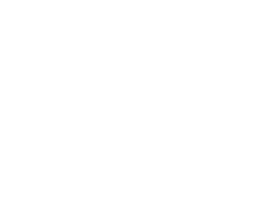 lds logo biedrs